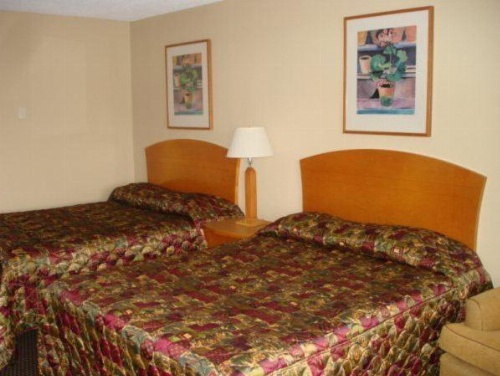 Cedars Inn Lewiston image 17